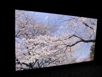 IFA 2012 - Die Top 5 der Messe im Überblick IFA 2012 - Die Top 5 der Messe im Überblick