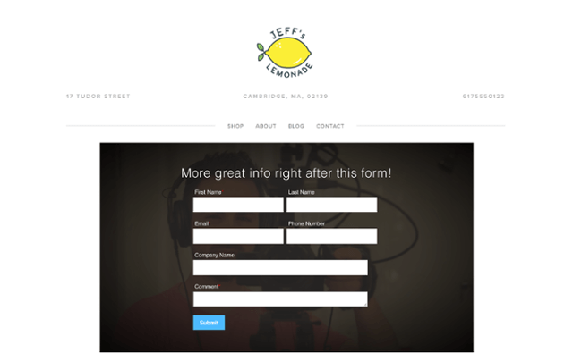 Formular in Wistia