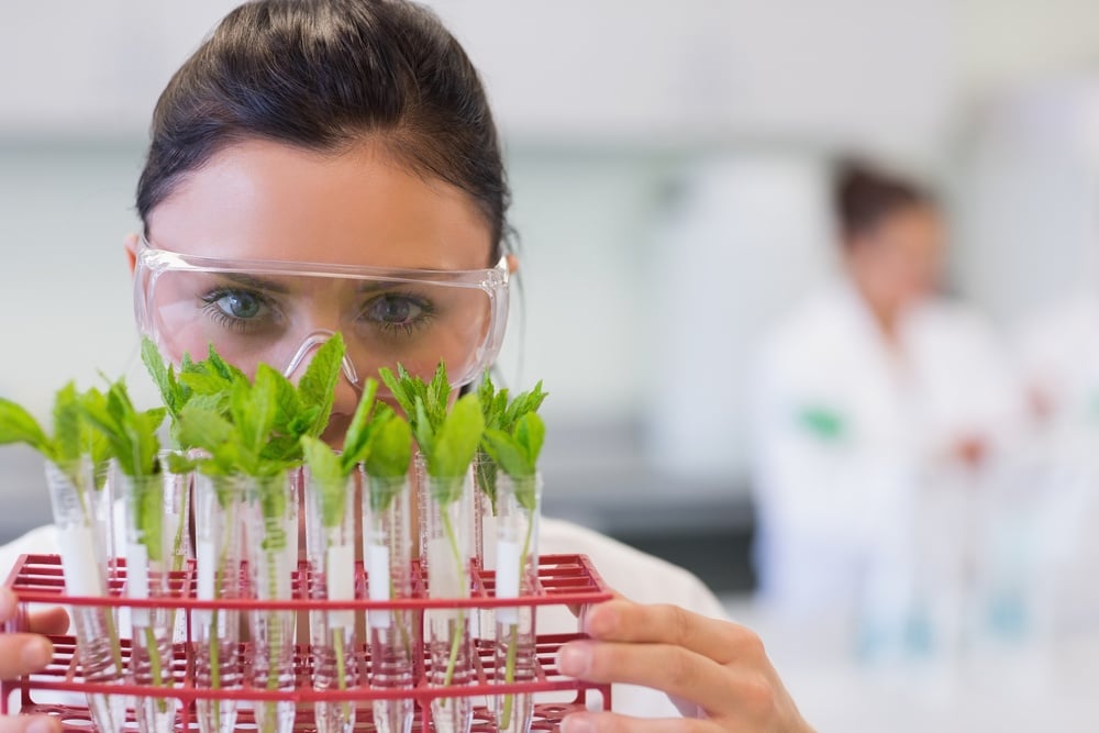 Lead Nurturing Kampagne messen